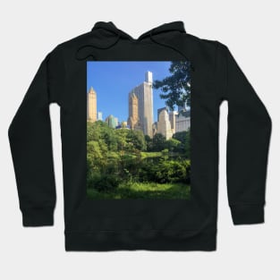 Bryant Park, Manhattan, NYC Hoodie